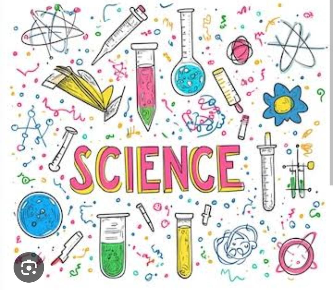 Science grade 3 first term